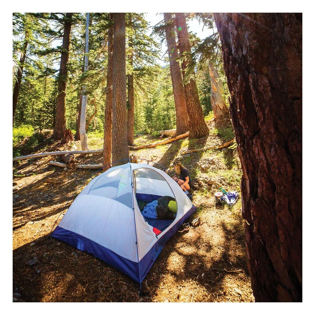 Alps Mountaineering Lynx 2-Person Tent 7 Alps Mountaineering Lynx 2-Person Tent - Image 5