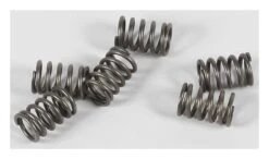 EBC CSK114 Clutch Spring Kit