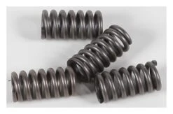 EBC CSK12 Clutch Spring Kit
