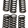 EBC CSK43 Clutch Spring Kit -Rev Zilla Shop ebccsk43 clutch spring kit