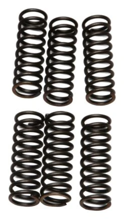 EBC CSK43 Clutch Spring Kit