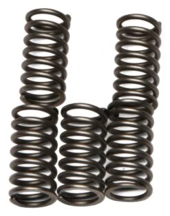 EBC CSK56 Clutch Spring Kit