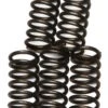 EBC CSK66 Clutch Spring Kit -Rev Zilla Shop ebccsk66 clutch spring kit