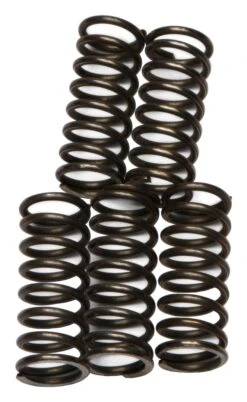 EBC CSK66 Clutch Spring Kit