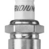 NGK Spark Plugs - Iridium IX -Rev Zilla Shop ngk spark plugs iridium ix